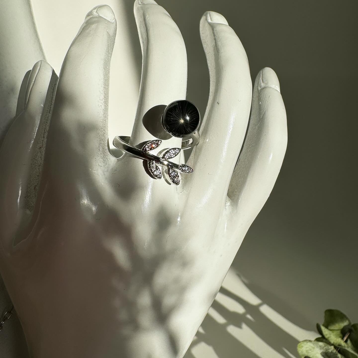Ring black dandelion
