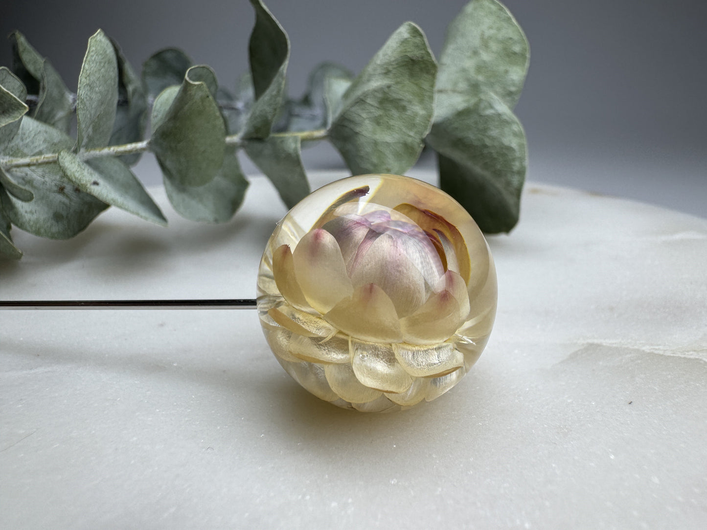 Brooch needle big