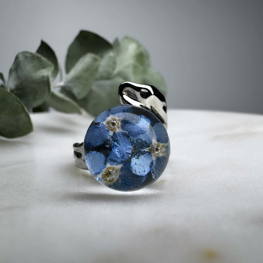Ring forget-me-not